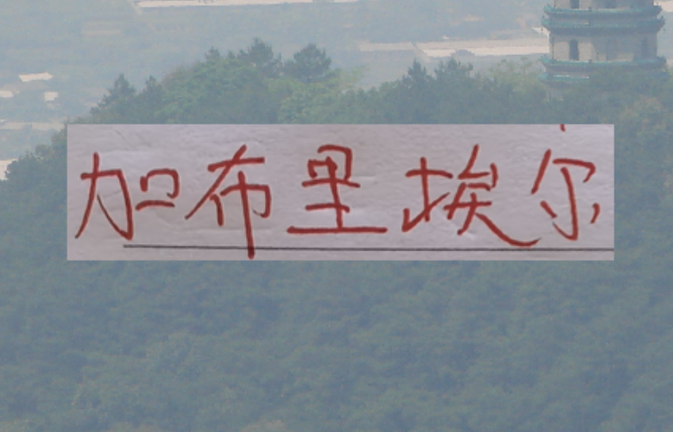 安卓下载-鱼缸里的鱼又回来！海港加布里回来后 今年说实话实力是增强了
